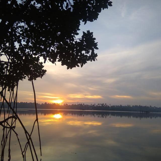 Lakefront Beach Homes Cherai Beach Exterior foto